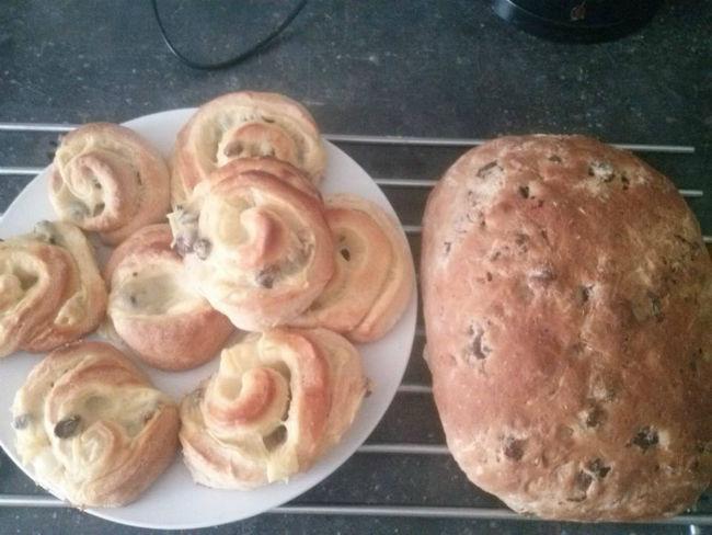 brood40321439586304.jpg