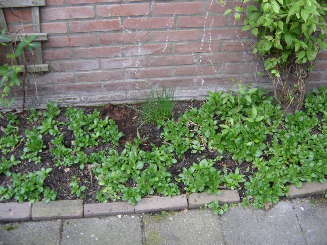 buitendoen126038421396864638.jpg