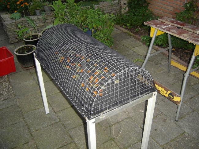 buitendoen57842221376771481.jpg
