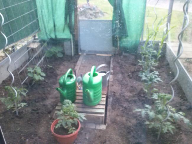cam0040690921375086654.jpg