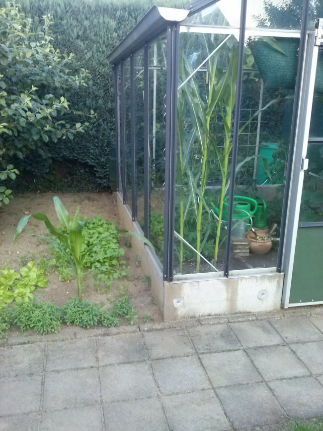 cam0048561451375086664.jpg