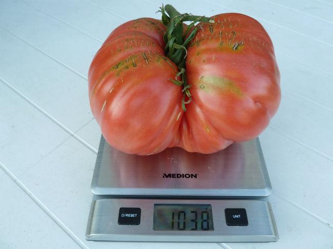 coeur-de-boeuf75501404663795.JPG