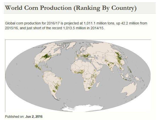 corn-production57981465079333.jpg