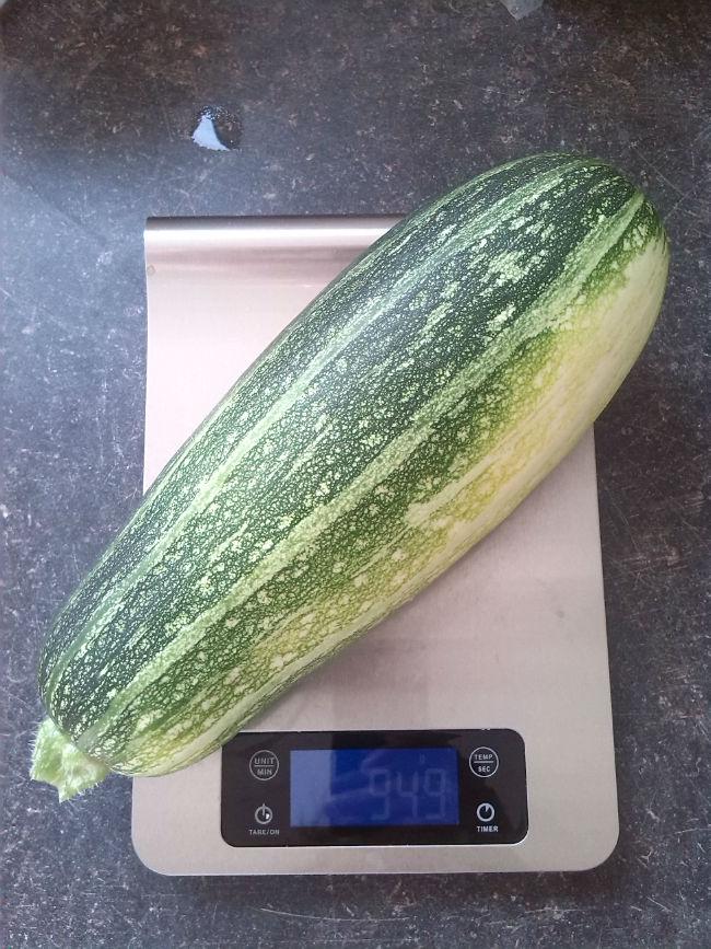 courgette-13-856551439488028.jpg