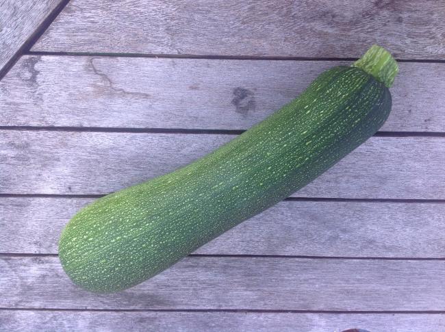 courgette396421375355992.JPG