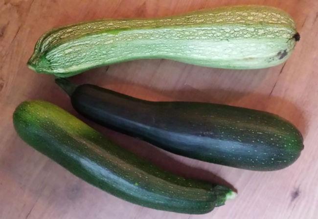 courgette40281442162151.jpg