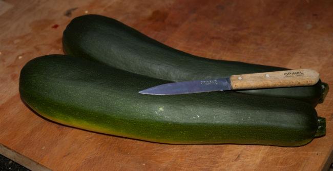 courgette60611402935676.jpg