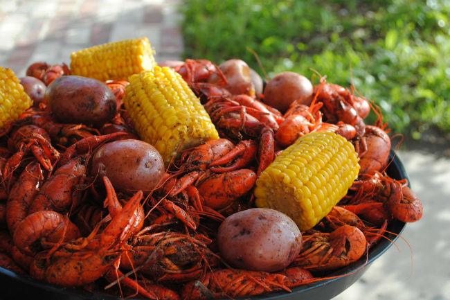 craw184371491312524.jpg