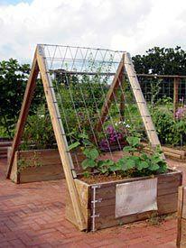 cucumberteepee86951391182616.jpg