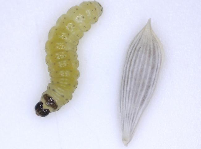 digimicro230601372927486.PNG