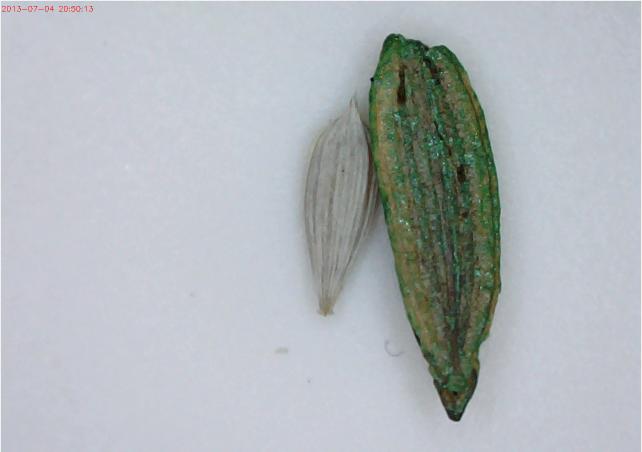 digimicro617081372969928.PNG