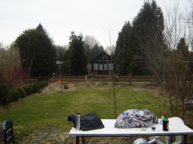 dsc0002995871331029298.JPG