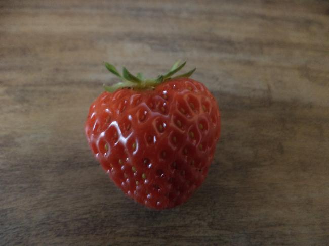 dsc0016427771373285171.JPG