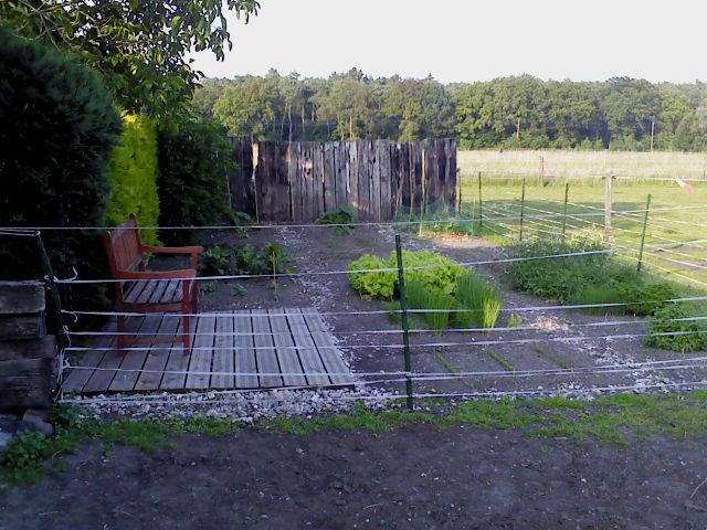 dsc0025082761341906923.JPG
