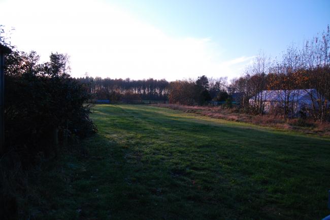 dsc014220201331499810.JPG