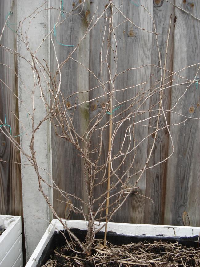 dsc01519x43151365712052.jpg