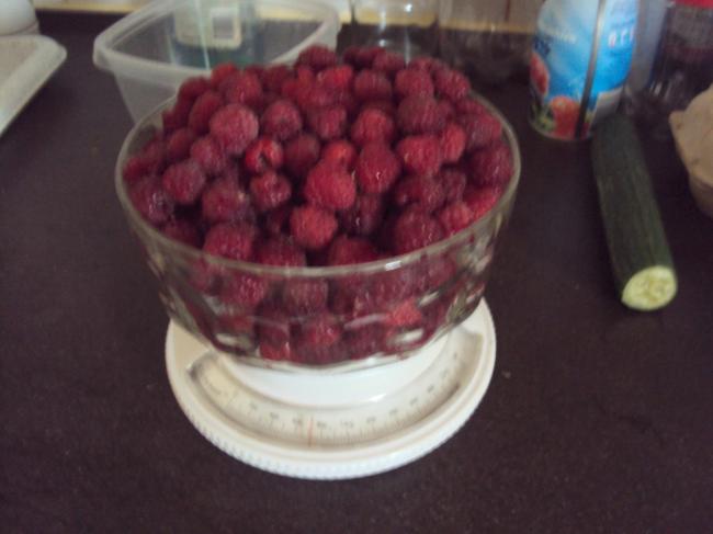 dsc0440427161373742029.jpg