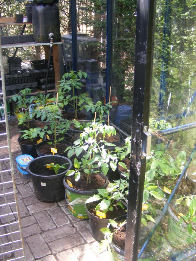 dscf002478511368112555.jpg