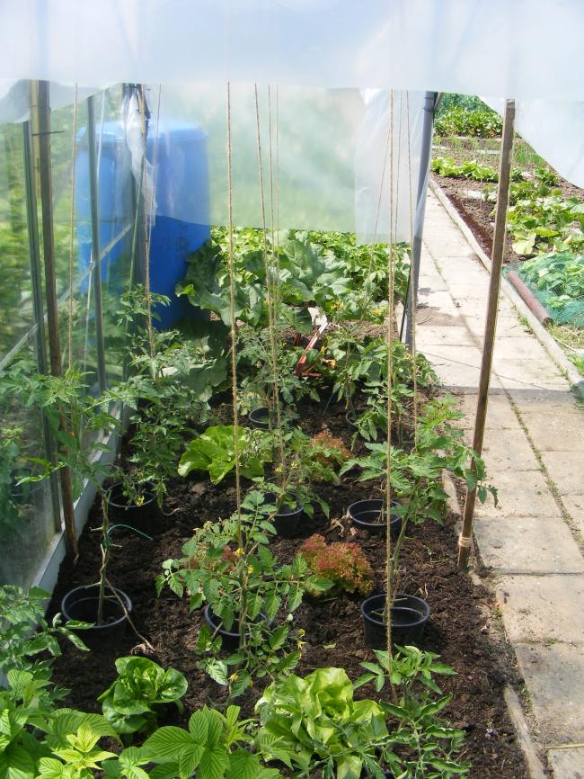 dscf002651921340459593.JPG