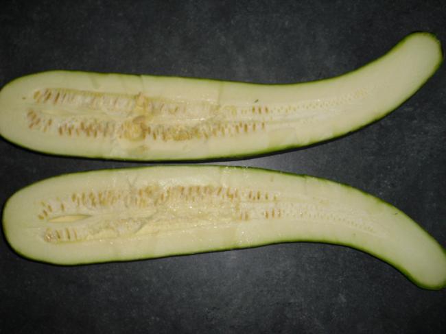 dsci009351001345932350.JPG