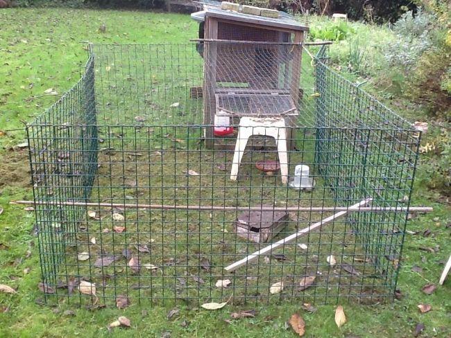 Verplaatsbare Kippenren Laat Die Van Jou Zien Moestuin Forum