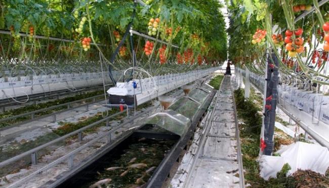 ecofuturaw700h40026771368266605.jpg
