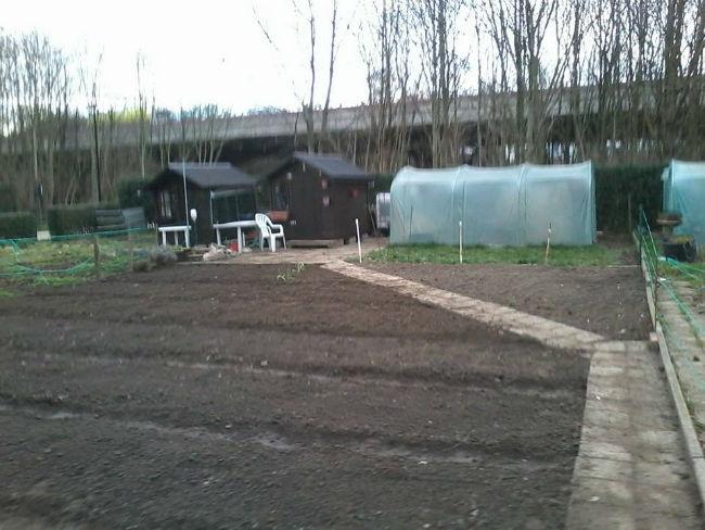erna226351393104793.jpg