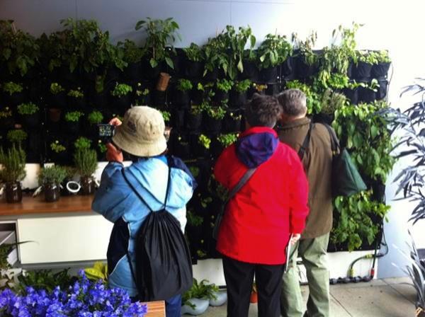 essbarewand-am-floriade38771335256322.jpg