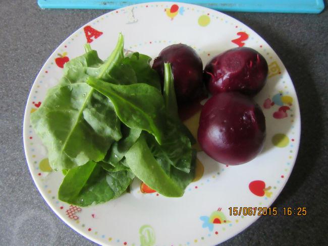 eten-uit-eigen-tuin-00421431434375039.JPG