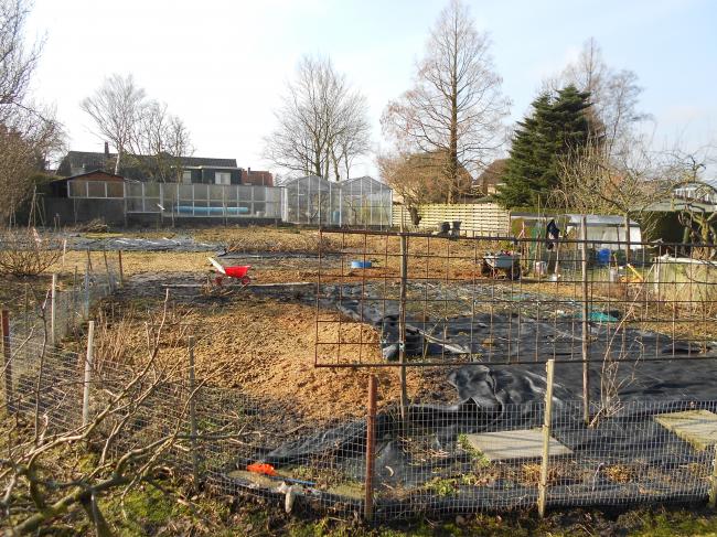 febr-2013-before40201361111395.JPG