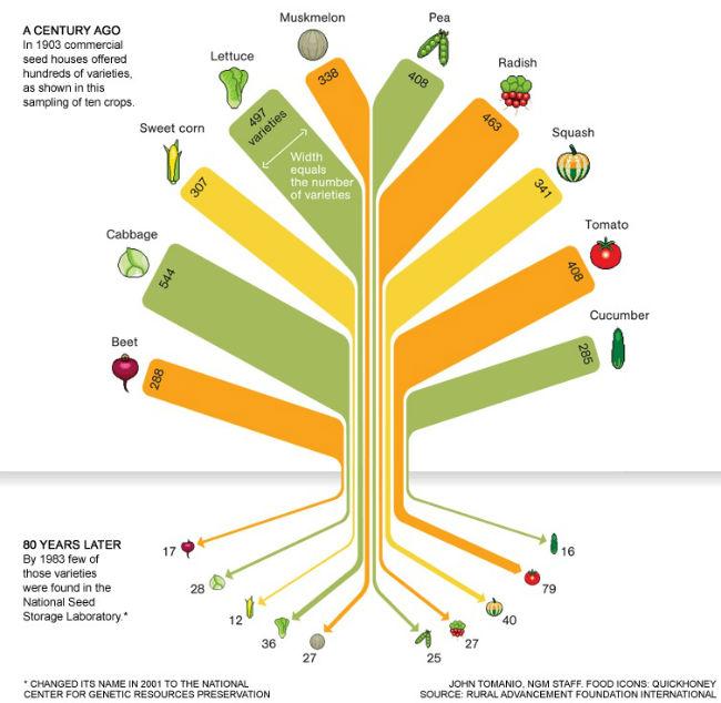 food-variety-tree-nugget22671390939696.jpg