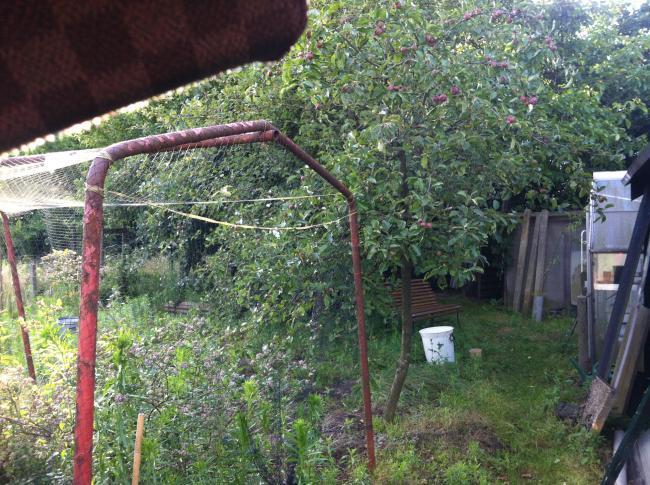 foto-(32)19961357581565.JPG