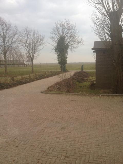 foto-1659551362586644.JPG