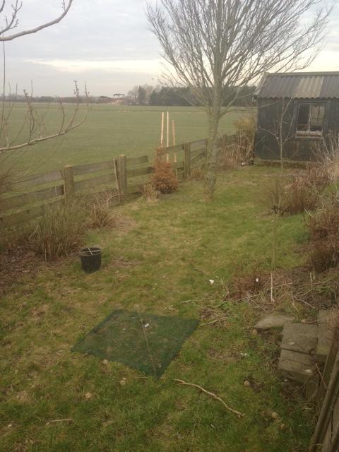 foto-486141362586606.JPG
