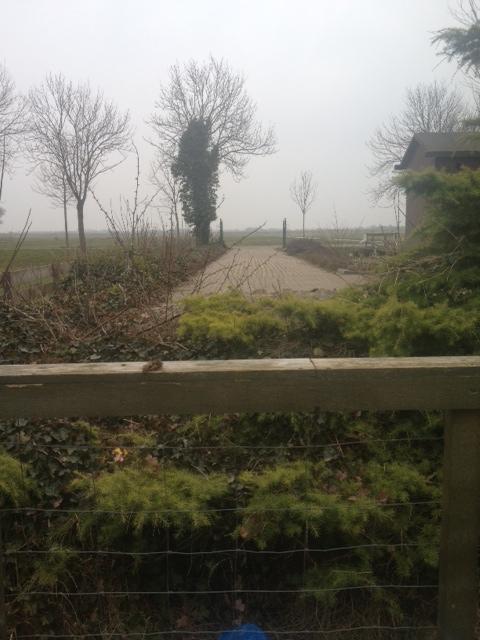 foto-557811362662029.JPG