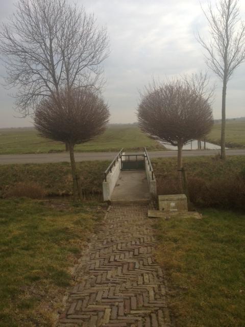 foto-953671362586623.JPG