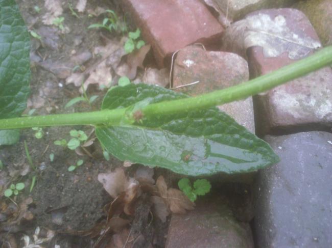 foto00711431338830591.jpg