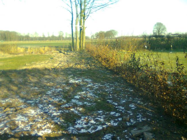 foto008317581328195559.jpg