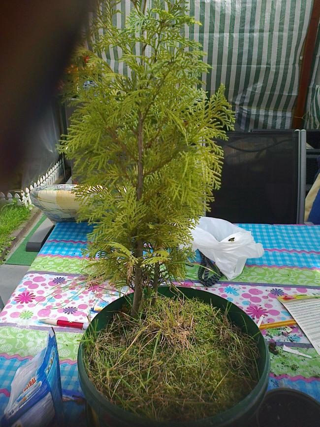 foto008848811369513583.jpg