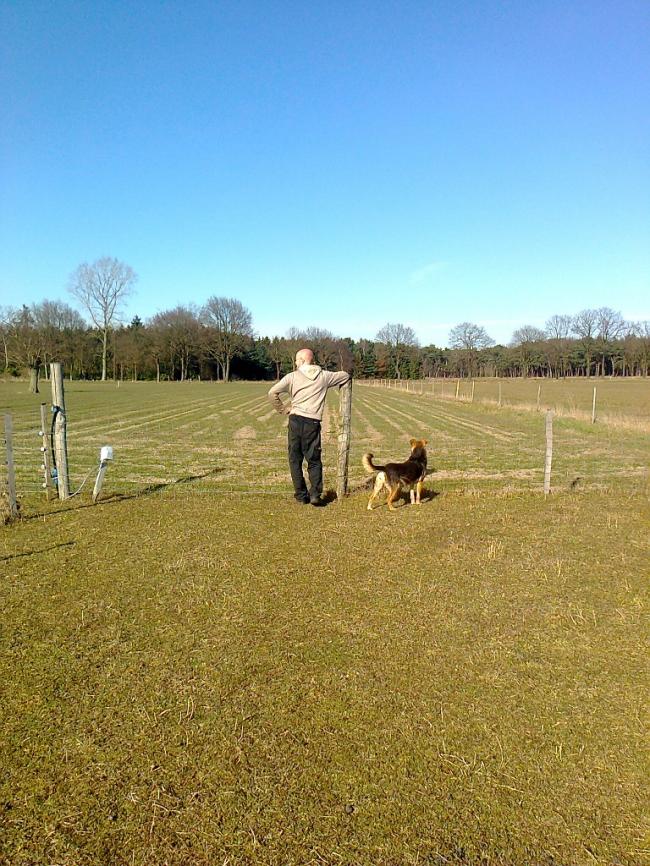 foto016789111365359668.jpg