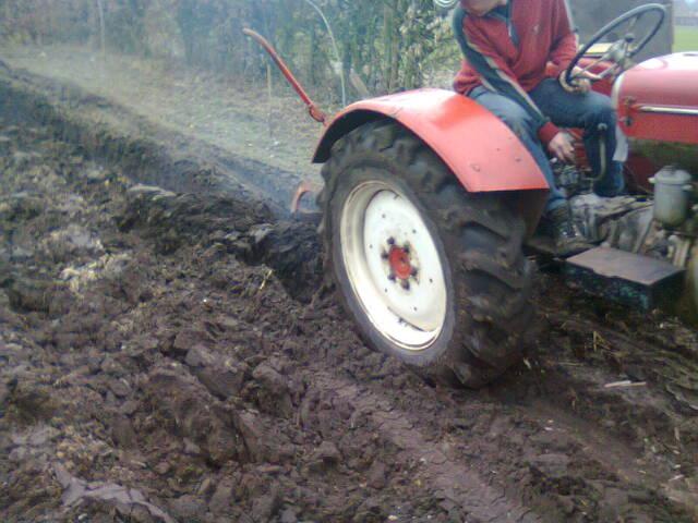 foto018321621332090371.jpg