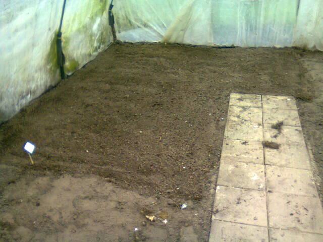 foto019887731334209332.jpg