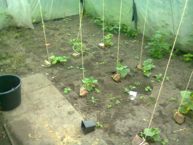 foto026773371340897894.jpg