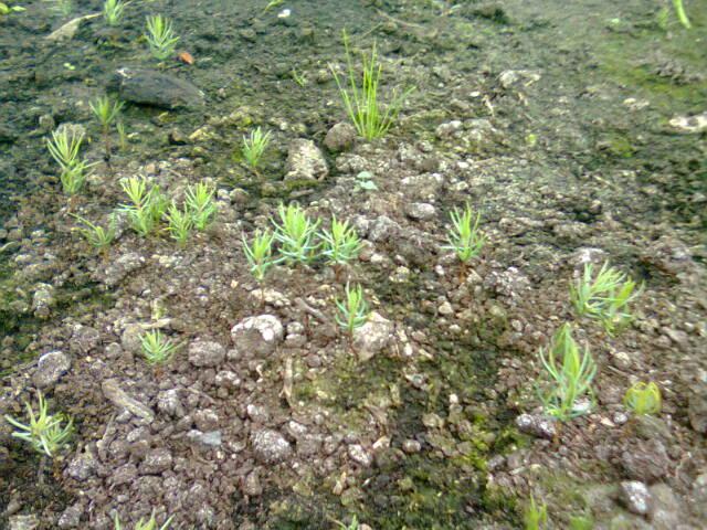 foto026989341340897896.jpg