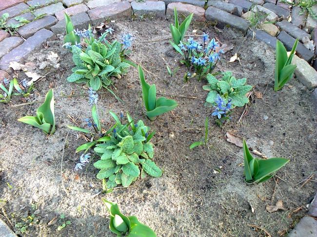 foto027772331366825291.jpg