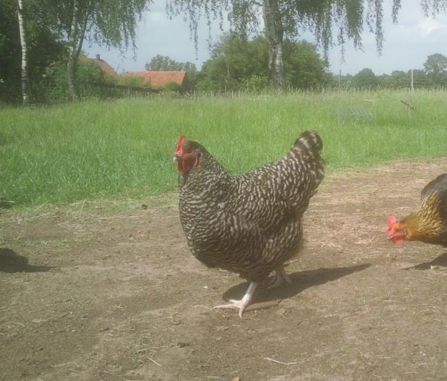 foto02783681340048986.jpg