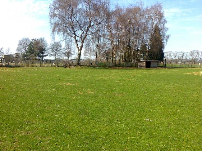 foto032183121367005725.jpg