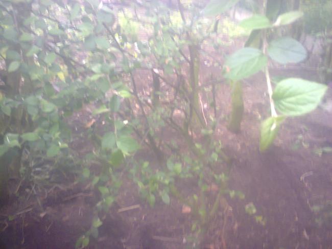 foto037343871369594244.jpg