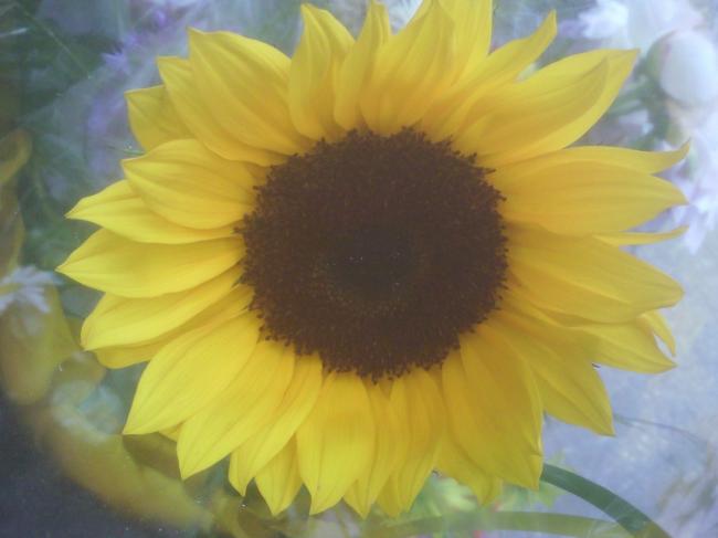 foto03784921337546430.jpg