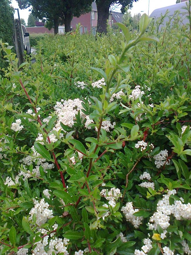 foto081146841371727533.jpg